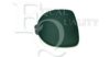 RENAU 7701205718 Eyelid, fog light
